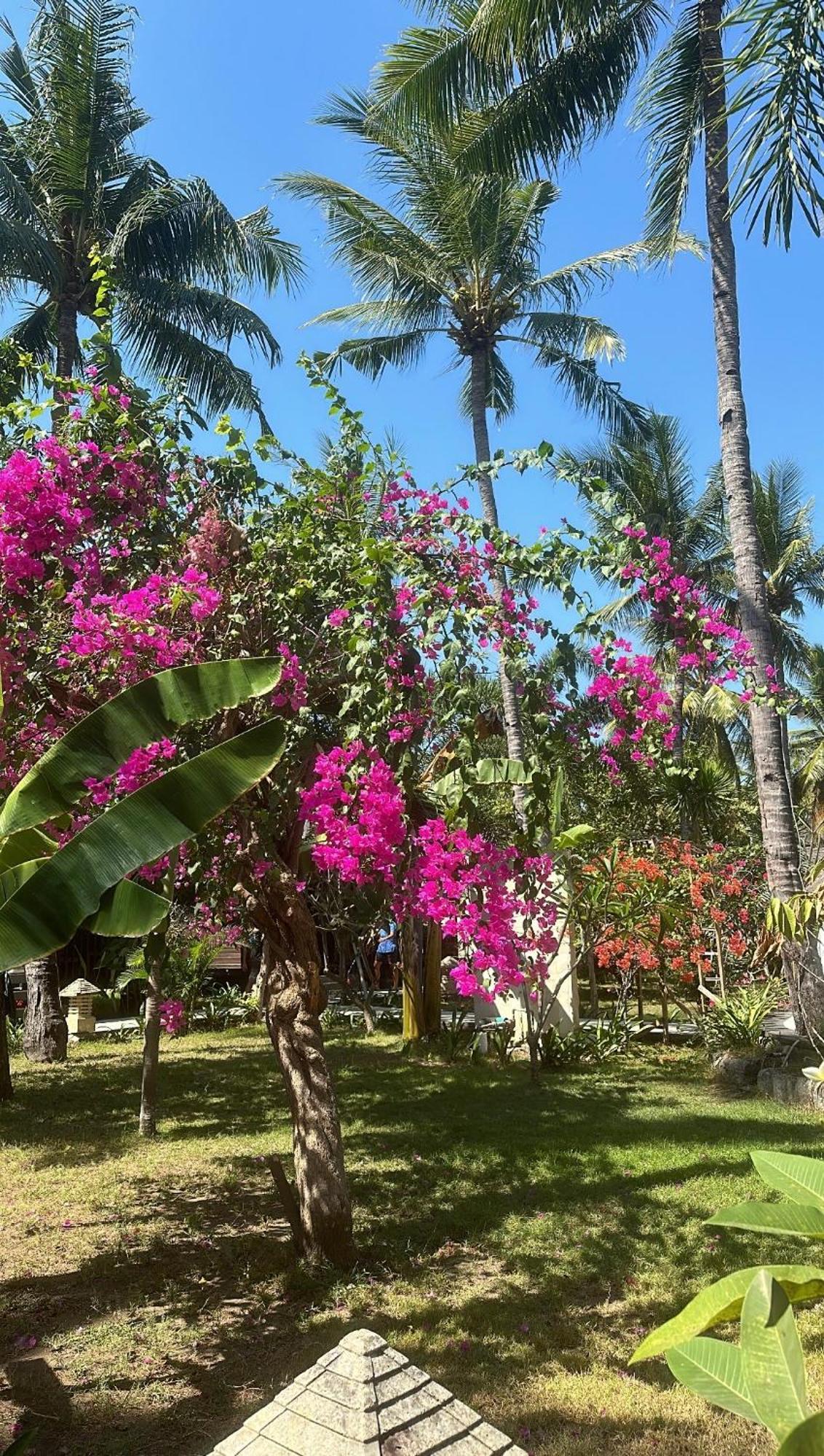 Trawangan Oasis Hotel Quần đảo Gili Ngoại thất bức ảnh